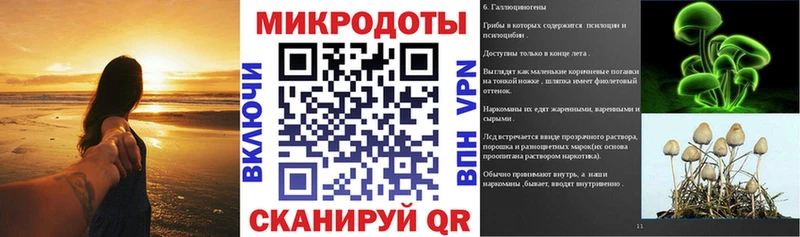 продажа наркотиков  Печоры  Галлюциногенные грибы Psilocybe 